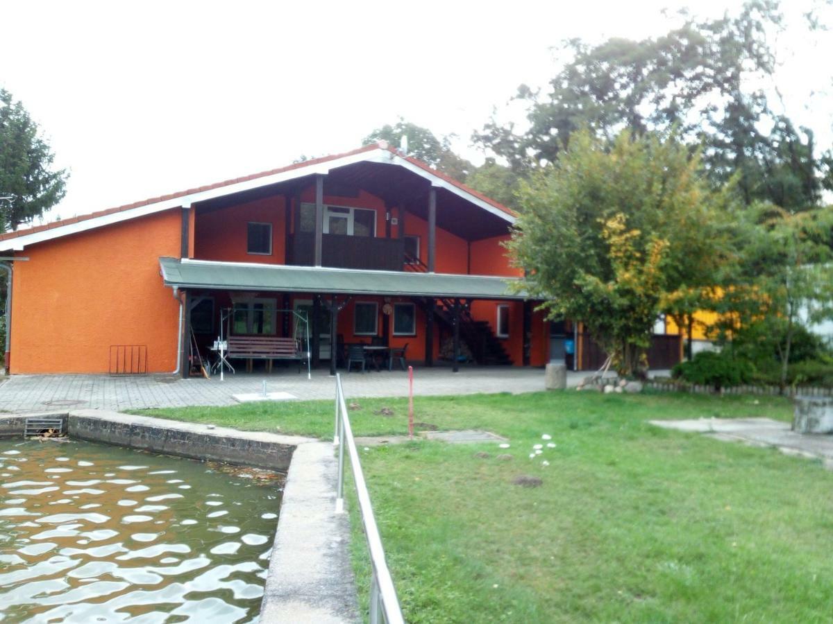 Pension Waldbad Dommitzsch المظهر الخارجي الصورة